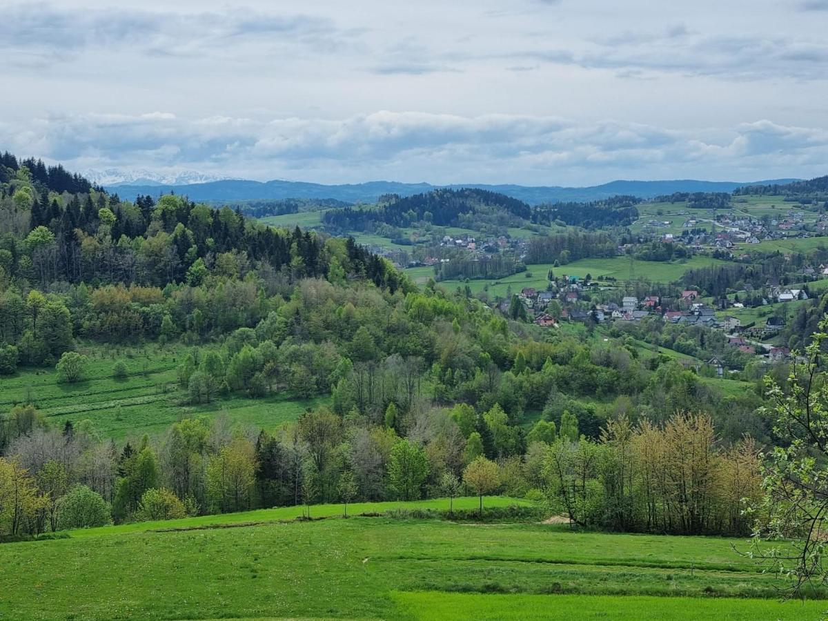 Domki Goralskie Na Podhalu Zakopane Tokarnia  Buitenkant foto