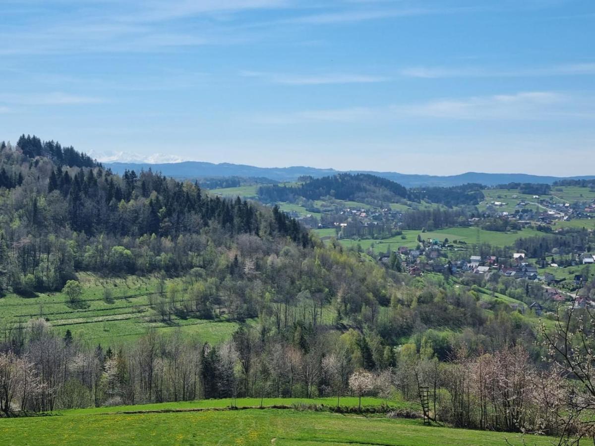 Domki Goralskie Na Podhalu Zakopane Tokarnia  Buitenkant foto